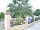 P1010606