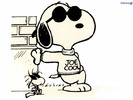 woodstock-snoopy-joe-cool