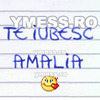 te iubesc AMALIA