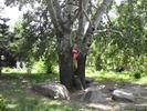 SDC10521