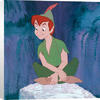 Disney-Peter-Pan-135869