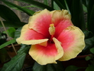 DSC04393