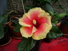 DSC04397
