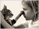 Imagem15