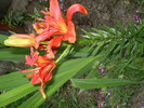 P6243815