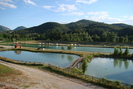 DSC03866