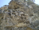 P1010547