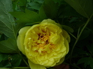 DSC06897