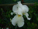 DSC06898