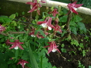 DSC06904