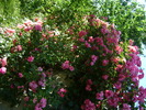 DSC07085