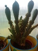 DSC00116