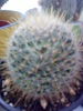 DSC00117