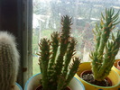 DSC00120