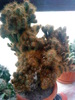 DSC00121