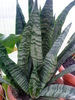 DSC00127