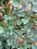 DSC00133