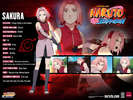 Naruto_Shippuden_sakura