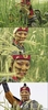16978310_VOVBWDZSW
