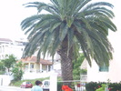 P1010596
