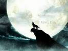 [large][AnimePaper]wallpapers_Wolfs-Rain_anime104__THISRES__51487[1]