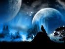 1218946901_3574_full[1]