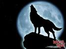 WolfsRain[1]