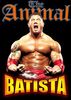 camisetas-wwe-raw-smackdown-batista-rey-mysterio-john-cena-luchadores