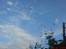 DSC00496