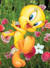 tweety