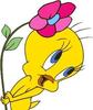 floricica cu tweety