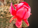 DSC08957