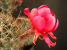 DSC08960