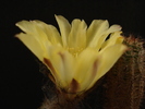 DSC08965