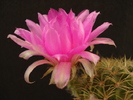 DSC08972