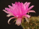 DSC08974