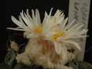 DSC08999