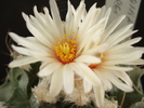 DSC09001