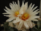 DSC09002