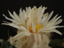DSC09004
