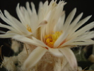 DSC09006