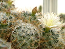 DSC09010