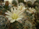 DSC09011