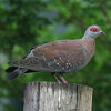 eos07619_327w