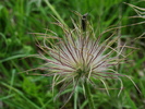 DSC06547
