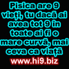 pisica%20are%209%20vieti%20u%20daca%20ai%20avea%20tot%209%20in%20toate%20ai%20fi%20o%20mare%20curva%