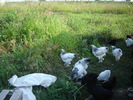 DSC06573