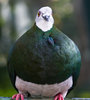 MG_5484-Edit