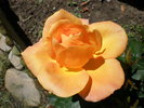 P6060123
