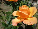 P6060119